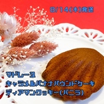 8/14発送マドレーヌ・パウンドケーキ・クッキー【2025年8月】