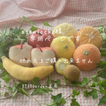 フェルトカットフルーツセット⑥🍎🍌🥝🍊
