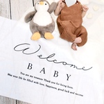 welcome baby タペストリー🌼