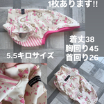 イタグレの服　イタグレ服　イタグレ