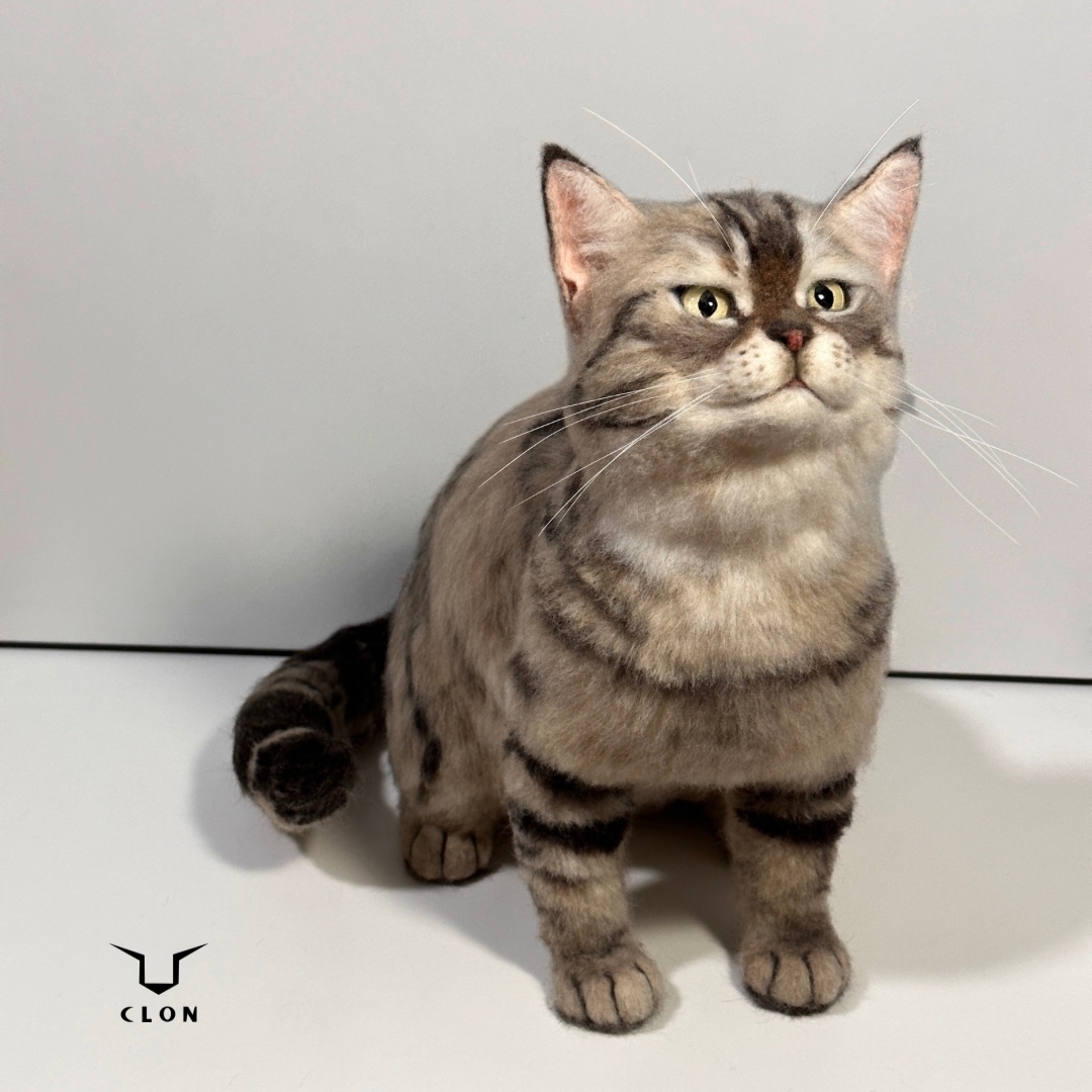 うちのこオーダー オーダー 猫 ネコ ねこ リアル 羊毛フェルト うちの