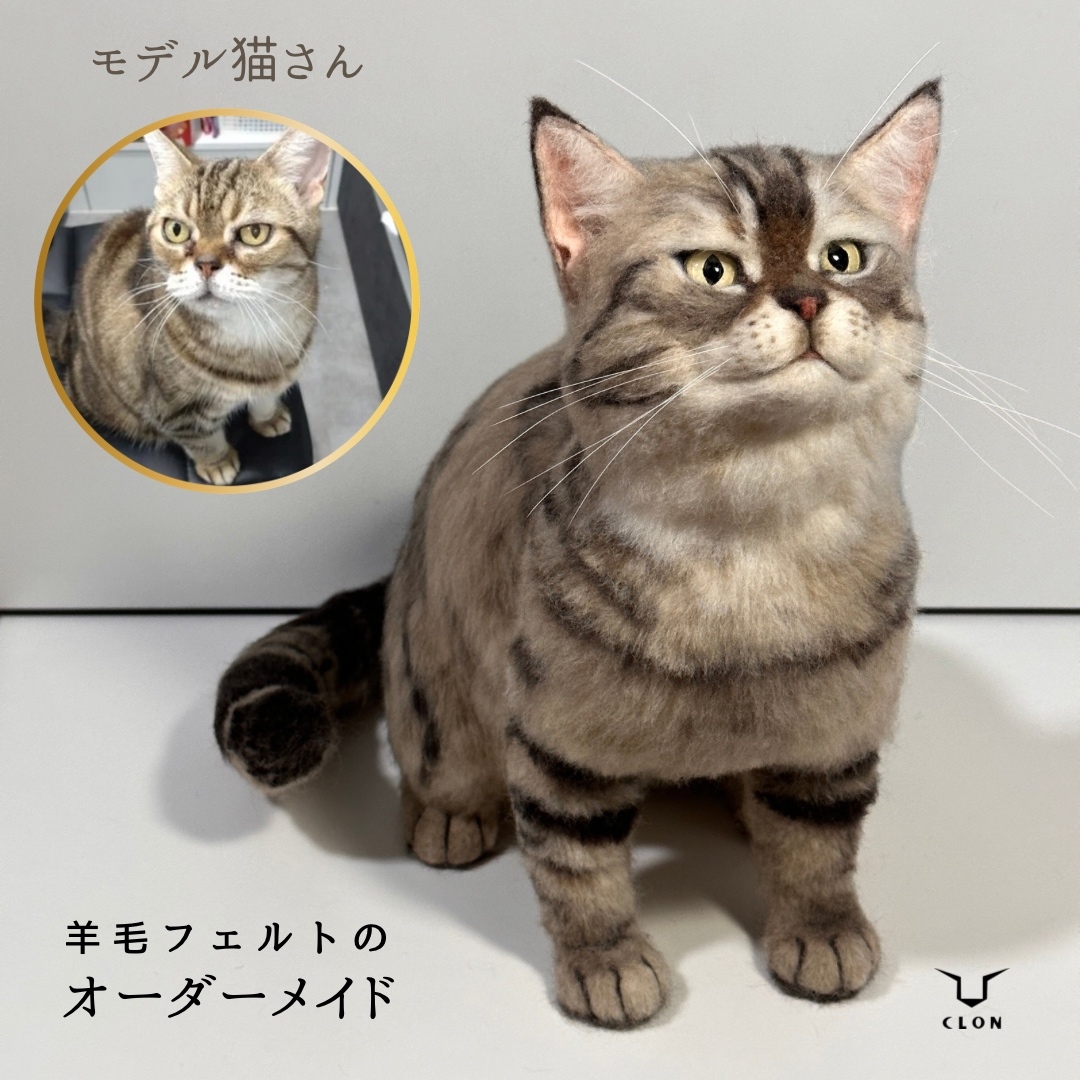 エキゾチックショートヘア 羊毛フェルト 羊毛フェルトの猫 エキゾチックショートヘア – muumuufactory