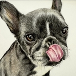 ペットの手書き似顔絵 【人気ランキング掲載】似顔絵 犬似顔絵 猫似顔絵  似顔絵オーダー 肖像画 ペットのイラスト 色鉛筆画 リアル似顔絵 ペット似顔絵 ペット似顔絵  アート