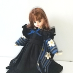 【送料無料】22cmドール 大正浪漫なエプロンセット(縦縞猫/紺) リカちゃん ブライス
