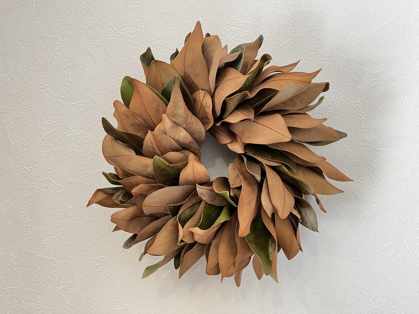 カワラハハコ　花かんざし　ドライフラワー 6ba91aecbd7a41b0c060df0b3c7ffd