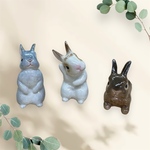 lapin_cmm様専用