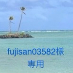 fujisan03582様専用♪パンの木のハワイアンキルトバック♪