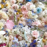 ドライフラワーの小花ミックスセット
