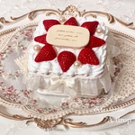 ストロベリーケーキのアクセサリーケース