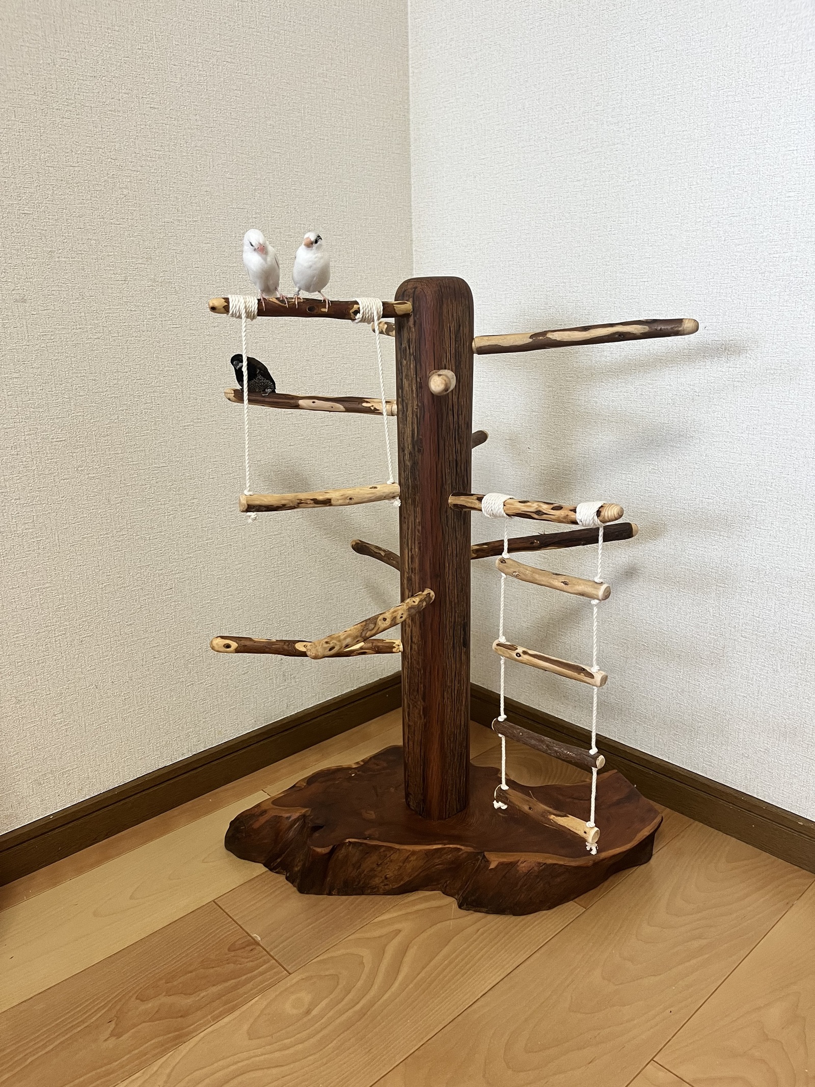 木製 鳥用止まり木 ツリー型 中型鳥さん用】天然木止まり木 ♬ツリー型 108.5cm - frankyboy