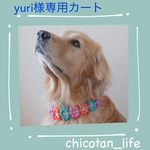 ⭐︎ yuri様専用カート⭐︎他の方のご購入はお控えください
