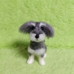 U様ご注文品　ミニチュアシュナウザー ちゃんストラップ　　