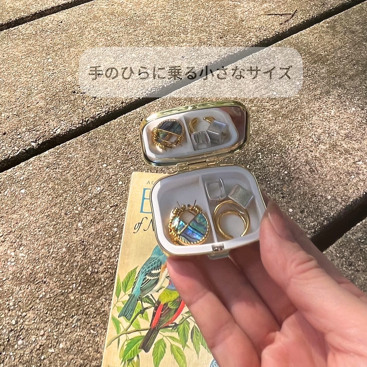 ピルケース　イルカ　アクセサリーケース　ドイツ　ヴィンテージ ピルケース イルカ アクセサリーケース ドイツ ヴィンテージ