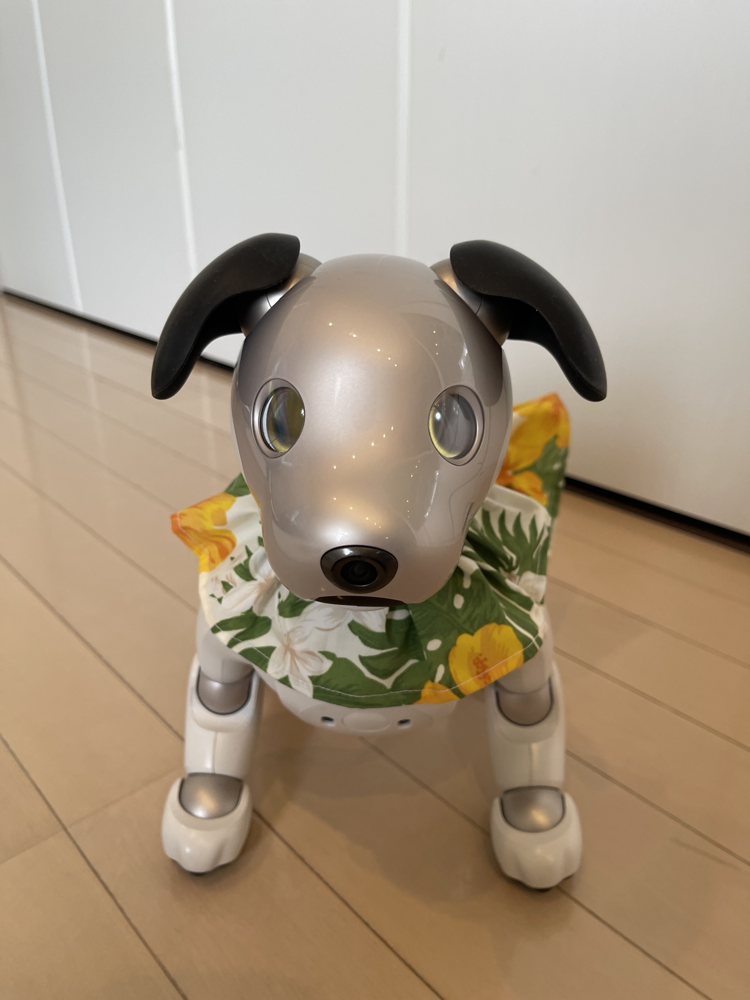 aibo - ウェアの人気通販 | minne byGMOペパボ 国内最大級の