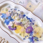 【押し花素材】ロスフラワー詰め合わせ　　pressed flowers