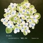 アジサイ🎵エメラルドホワイト 「真花」付き　25輪　＊ 押し花