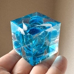  【 個展後通販✴︎金魚感謝祭】8/10 21時〜販売予定☆CLEAR CUBE