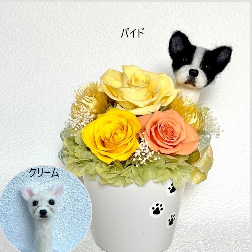 ちょこんと顔出す フレンチブルドッグ（右側）＆プリザーブドフラワー（黄色系）/羊毛フェルト　フレブル　犬　犬好き　花　プレゼント　米寿祝い