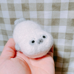 むっちりふあふあアザラシさん