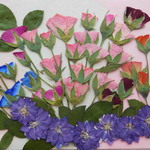★　ミニバラ横向き　押し花素材　★