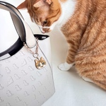 【猫 バッグチャーム】ゆるリアルな 猫 の キーホルダー　ねこ 刺繍　ギフト　バッグチャーム　サバトラ