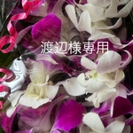 渡辺様専用ページ