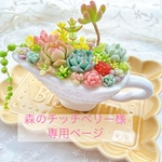粘土多肉のちまちま寄せ🌱
