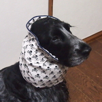 　♡pop＆cute!スカル!スカル・ネイビードット・パイピング♡中型犬用スヌード