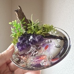  【 個展後通販✴︎金魚感謝祭】8/11 21時〜販売予定☆アメジストの池