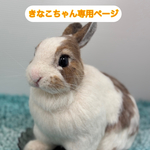 きなこちゃんオーダーメイドLサイズ