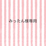 *みったん様専用*