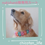 ⭐︎nukichan6様専用カート⭐︎他の方のご購入はお控えください