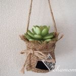 多肉植物の麻袋つりさげ（d)