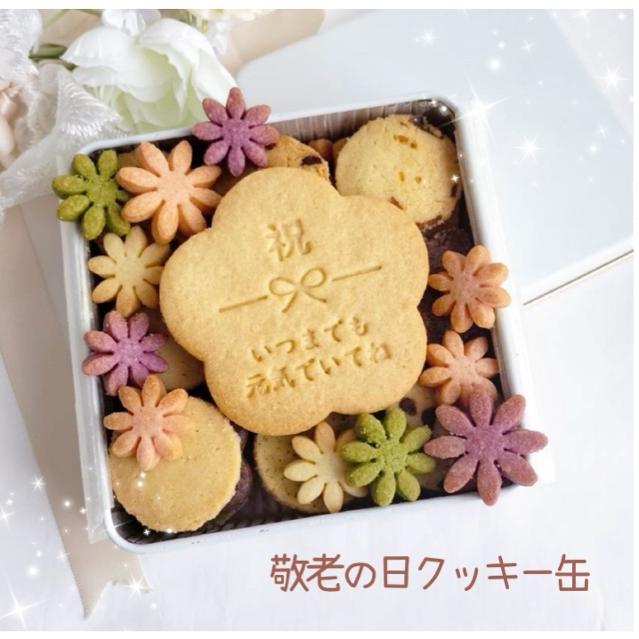 ✩.*˚手作りクッキー☪︎·̩͙‪⋆͛ まいにちのおやつzuzuの手作りクッキー8点セット(さくほろ