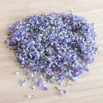 【ドライフラワー】ブルーファンタジア　小花　花材