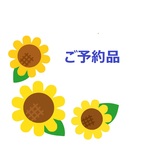 サキさまご予約品