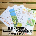 ラウハラ　手作りキット / ラブノット５段×５段 （作り方・ピアス金具付き）　冬休み　おうち時間　自由研究　