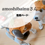 amoshibainuさん専用ページ（３点セット）