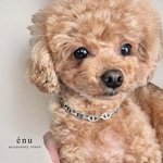 7種類🐶 Dogs and Owners - おそろいで楽しめるチェーンの首輪 - 犬 ワンチャン わんちゃん 首輪 ペット ペットグッズ 猫 愛犬家 ペア ペアネックレス サージカルステンレス 