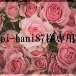 hapi-hani87様専用