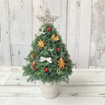 (好評につき再販)森のクリスマスツリー（銀の星・丸型）🎄（グリーンのヒムロスギのミニクリスマスツリー）プリザーブドフラワー（高さ約27cm）