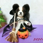 セール品パピヨンもハロウィン