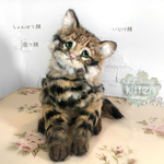 『pao-fuさま』ご予約専用　　クロアシネコ 子猫 世界最小の猫 可動 困り顔 しょんぼり顔 いじけ顔 羊毛フェルト アートドール