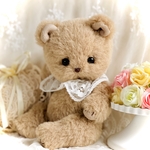 テディベア🧸Baby bear Lino(ブラウンC)