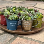 多肉植物 寄せ植え そのまま飾れる‪ ·͜·♡‬選べるミニ