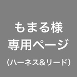 パラコード × ハーネス&リード