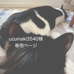 透かし模様の巾着バッグ