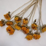 《送料無料》鮮やかひまわりのドライフラワー(12本セット)