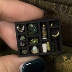 nano標本箱⑥