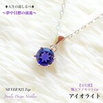 動画ｱﾘ【宝石質】アイオライト🌙3月誕生石⭐️Silver925.Top✨ジュエリー天然石ネックレス💫 頑張るご自身へのご褒美に💕